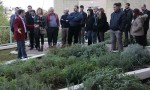 . Participants being shown around the demo green roof i